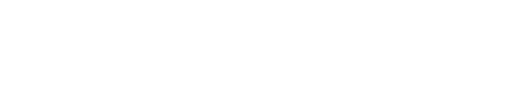 The Amauris Vienna